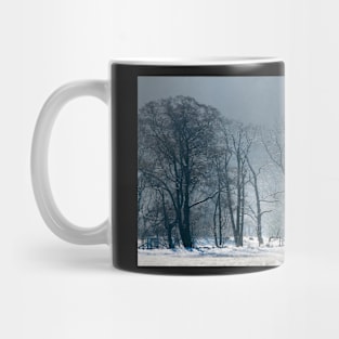 Crisp Frost Mug